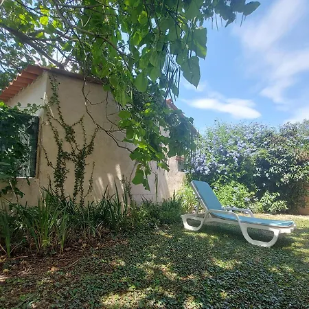 66m2 Ok Animaux Cheques 2ch Wifi 2km Soleil Catalan Latour-Bas-Elne